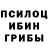 Псилоцибиновые грибы Psilocybe Abrorbek Kenjayev