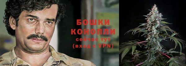 шишки Нефтегорск