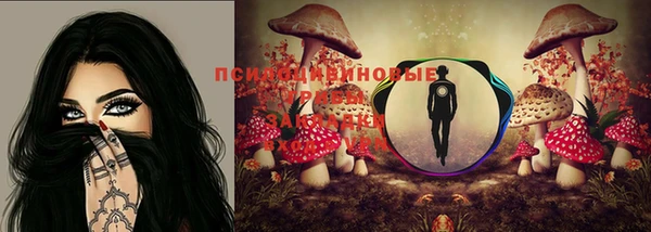 меф Нефтекумск